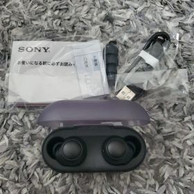 【未使用】SONY WF-C500 ワイヤレスイヤホン ブラック