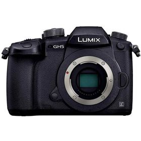 【中古】パナソニック ミラーレス一眼カメラ ルミックス GH5 ボディ ブラック DC-GH5-K