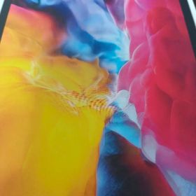 iPad Pro 本体 第2世代 11インチ Wi-Fi