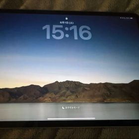♥美品♥ Apple iPad Pro 11インチ 第5世代 M4 256GB