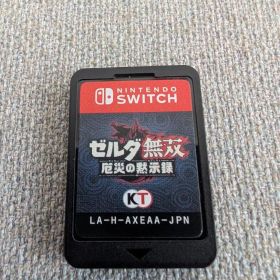 Nintendo Switch ゼルダ無双 厄災の黙示録