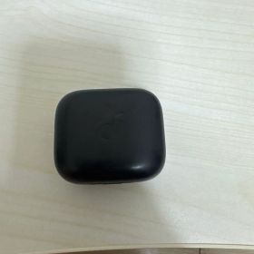 Anker Soundcore P30iワイヤレスイヤホン 本体