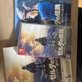 ゼルダの伝説 ブレス オブ ザ ワイルド ～冒険ガイドブック付き～