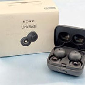 ワイヤレスイヤホン WF-L900UC SONY