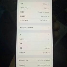 海外版iPhone 16 Pro Max 256GB,美品,バッテリー100％