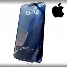 ■美品■Apple■iPhone 16 Pro Max■256GB■バッテリー100％■SIMフリー■ブラックチタニウム■19万■mkt5k