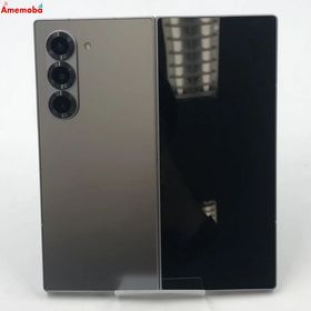 Galaxy Z Fold6 12GB/256GB シルバーシャドウ SC-55E docomo版S