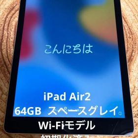 Apple iPad Air2 スペースグレイ 64GB Wi-Fiモデル