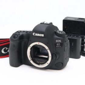 AA- (極上品) Canon キヤノン EOS 6D Mark II ボディ シャッター数 6,730枚 初期不良返品対応 77-199