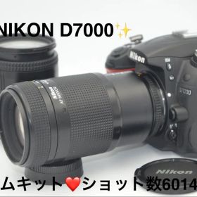 Nikon D7000 Wズームキット ショット数6014