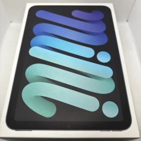 極美品 iPad mini 7 Wi-Fi+ Cellular 128GB