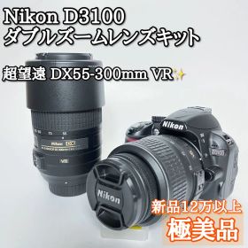 極美品✨Nikon D3100 ダブルズームレンズセット 超望遠55-300mm
