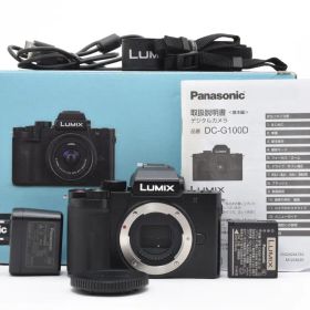 ■ 美品 ■ PANASONIC LUMIX DC-G100D 2393