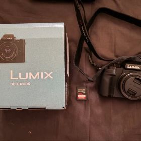 Panasonic LUMIX DC-G100DW