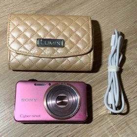 2761 Sony Cyber-Shot DSC-WX70 ピンク 動作確認済み デジカメ【ネ】