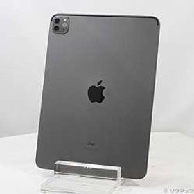 iPad Pro 11インチ 第2世代 256GB スペースグレイ FXDC2J／A Wi-Fi ［11インチ液晶／A12Z-Bionic］