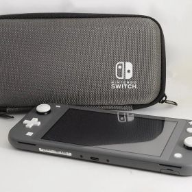 【極美品/ケース付】Nintendo Switch Lite グレー @4914