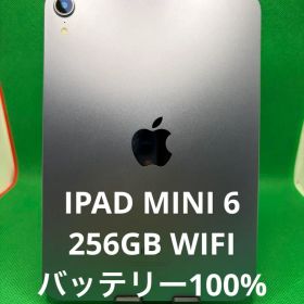 1F9WK IPAD MINI 6 256GB WIFI
