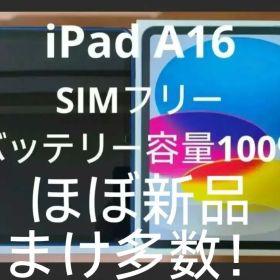 【即日発送】iPad A16 128GB Wi-Fi + Cellular 本体