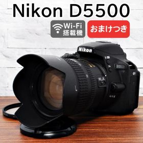 ✨付属品多数 ショット数1439回 美品✨Nikon D5500レンズセット