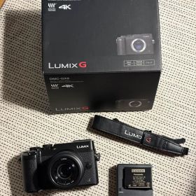 Panasonic LUMIX DMC-GX8 レンズキット