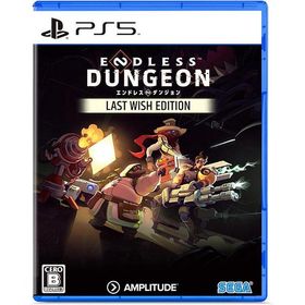 【新品】PS5 ENDLESS DUNGEON LAST WISH EDITION