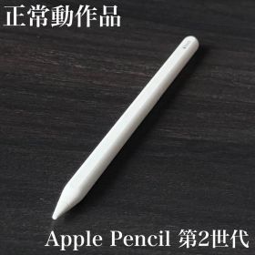 正常動作品 Apple Pencil 第2世代 MU8F2J/A s4