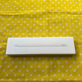 ほぼ未使用 Apple Pencil アップルペンシル 第2世代
