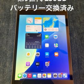 Apple iPad 第9世代 256GB 本体