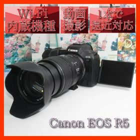 ⭐予備電池付き⭐Canon EOS R5 15-85mm USMレンズ⭐