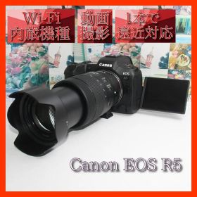✨予備電池付✨Canon EOS R5 18-135mm USMレンズ✨