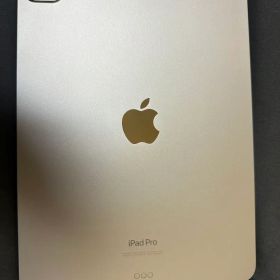 Apple iPad Pro 11インチ 第4世代 2TB 本体