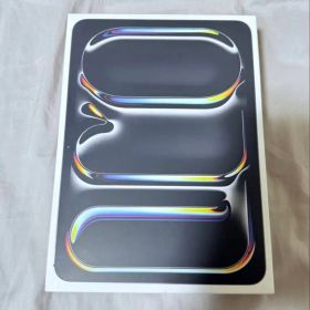 【美品】iPadPro M4 11インチ Wi-Fiモデル スペースブラック