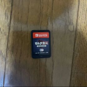 Nintendo Switch ゼルダ無双 厄災の黙示録 ソフト