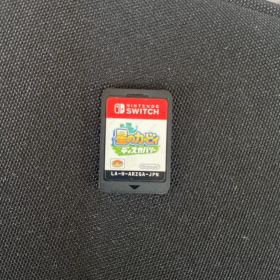 星のカービィ ディスカバリー Nintendo Switch ソフト