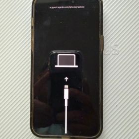 iPhone 14 Pro Max 1TB【ジャンク・4013エラー】