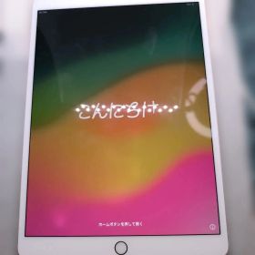 iPad Pro 10.5 64GB Cellular ローズゴールド 訳アリ
