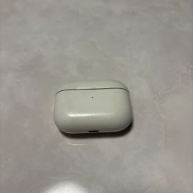 Apple AirPods Pro 本体