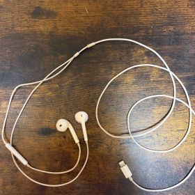 Apple EarPods with Lightning Connector