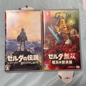ゼルダの伝説 ブレスオブザワイルド 厄災の黙示録 Switchソフト