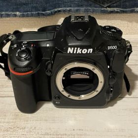 【動作確認済・3.5万回】Nikon D500 ボディ