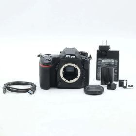 ショット数17132回 Nikon (ニコン) D500 ボディ #1530