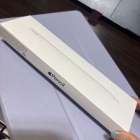 Apple Pencil (USB-C) 新品未使用