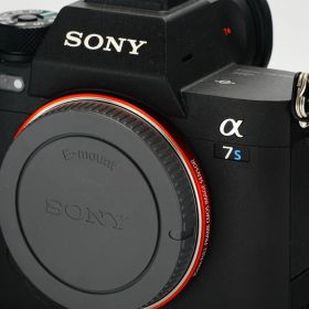 【今まで撮れなかった絵が撮れる！】SONY α7SⅢ 動画/写真 4K 037