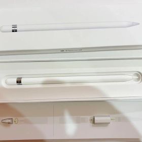 【ジャンク・部品取り用】Apple Pencil 第1世代（箱・付属品あり）