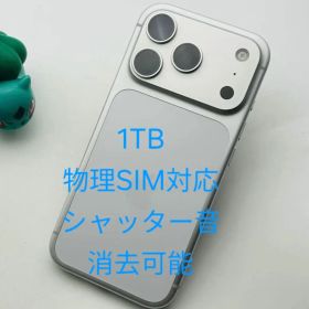 Apple iPhone 17 Pro Silver 1TB Global