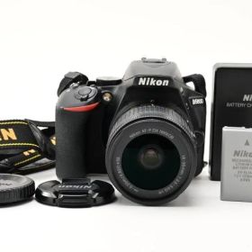 Nikon ニコン D5600 レンズキット デジタル一眼カメラ