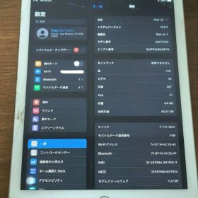 Apple iPad Air 2 64GB 本体