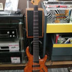 5弦ベース KINGSTON Z5 MTD