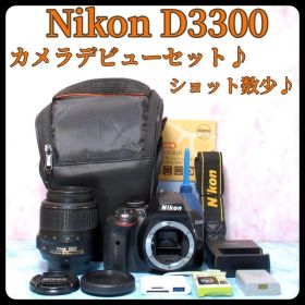 ニコン D3300☆S数少☆手ぶれ補正レンズ☆一眼レフカメラ☆簡単撮影
